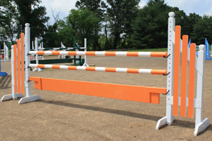 horse jump with standards