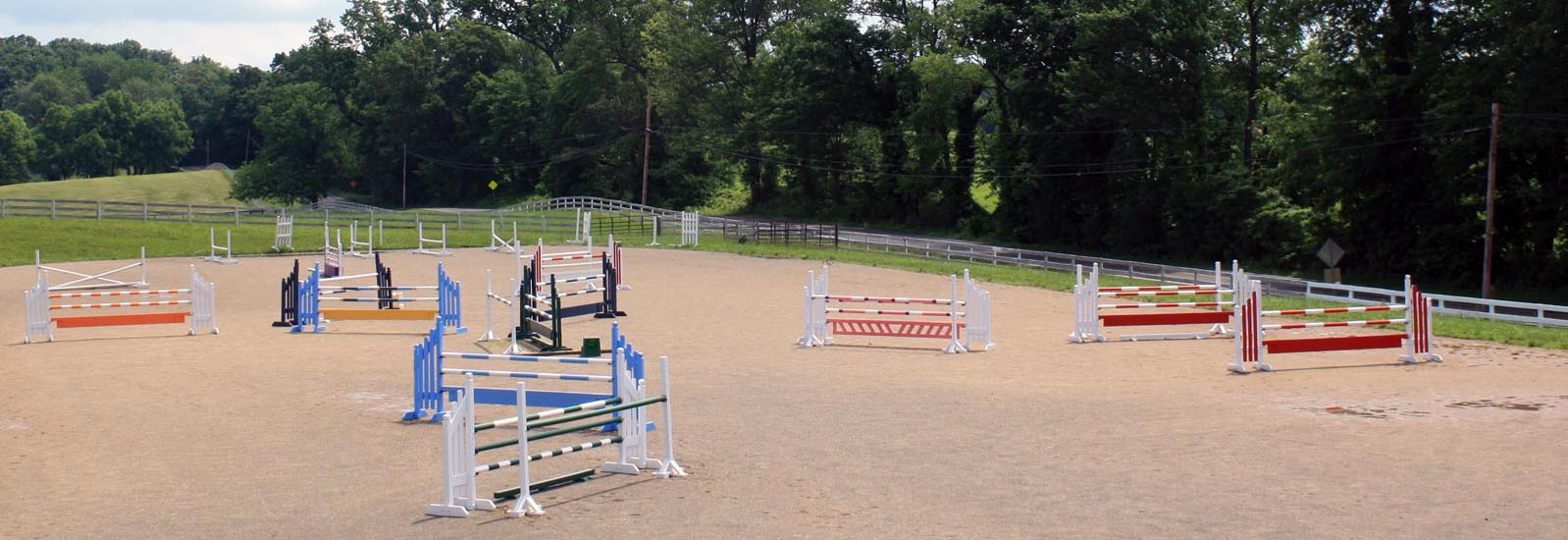 horse jumps in ring