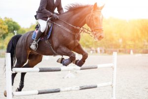 Horse Show Jumps | OldDominionJumps.com