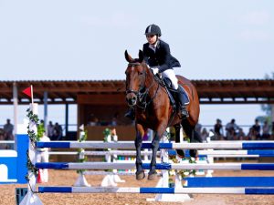 Horse Jump Walls | OldDominionJumps.com