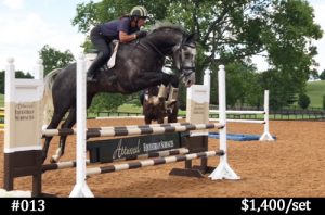 schooling horse jumps