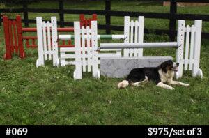 Schooling Horse Jumps for Beginners